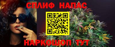крисы Бузулук