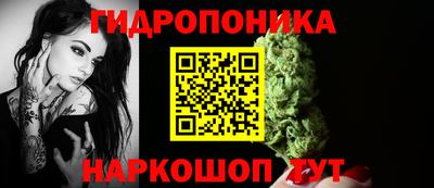 крисы Бузулук