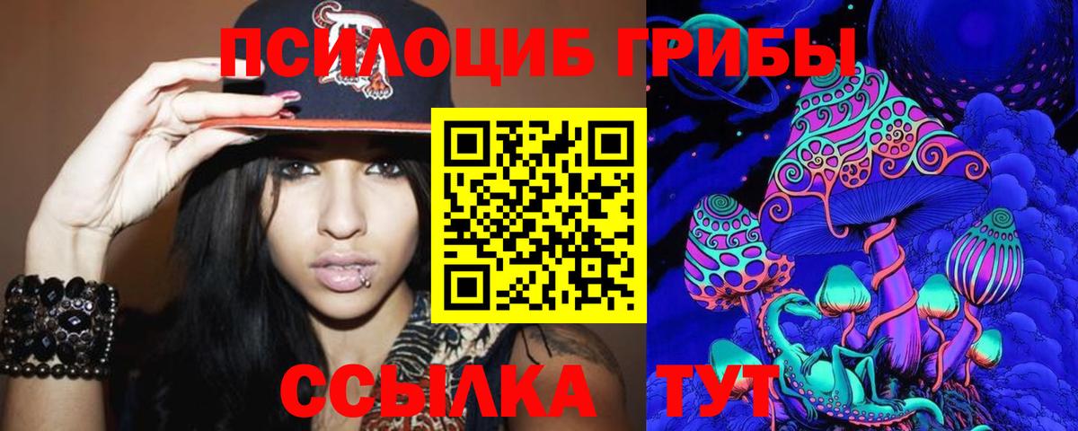 Чернушка  Псилоцибиновые грибы Psilocybe  Вход с VPN  Псилоцибиновые грибы MAGIC MUSHROOMS 